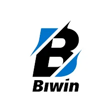 BIWIN - Petualangan Seru dalam Dunia MMORPG